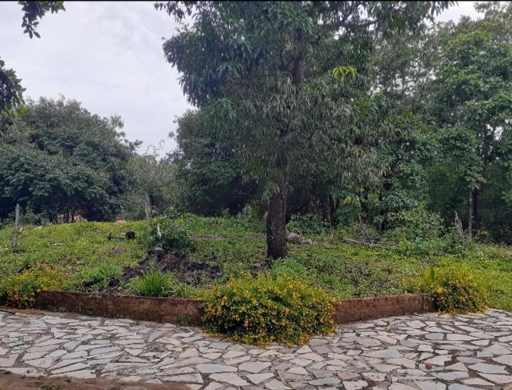 Sitio Sao Benedito Pirenópolis Buitenkant foto